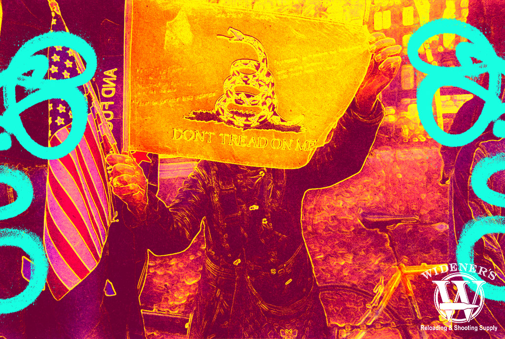 a photo of a woman holding a Gadsden flag