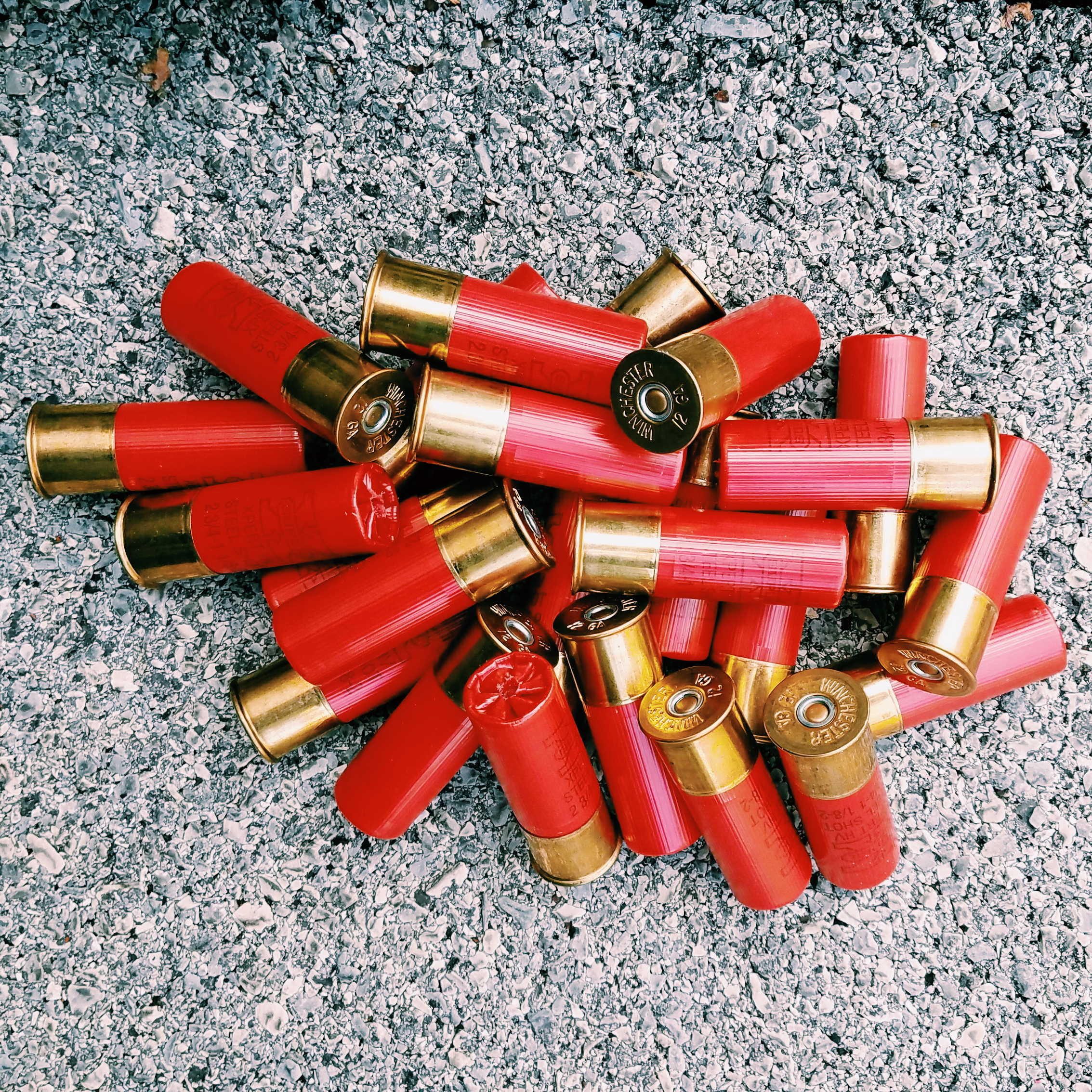 The INSANE Facebook Meme Shotgun Shell From Hell We Test, 57% OFF