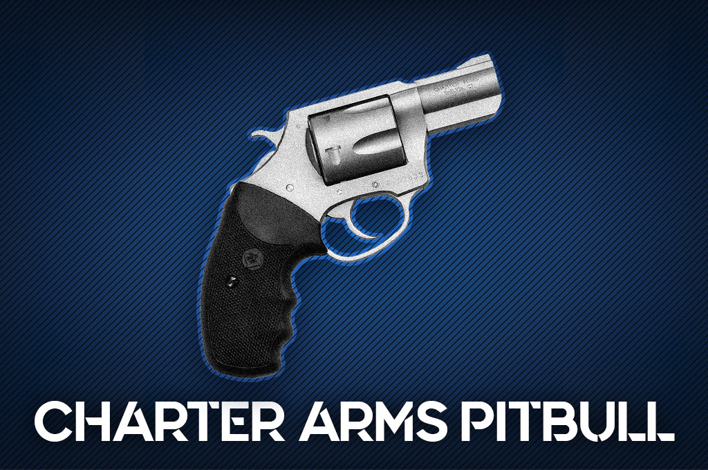 Charter Arms Pitbull a photo of the Charter Arms Pitbull