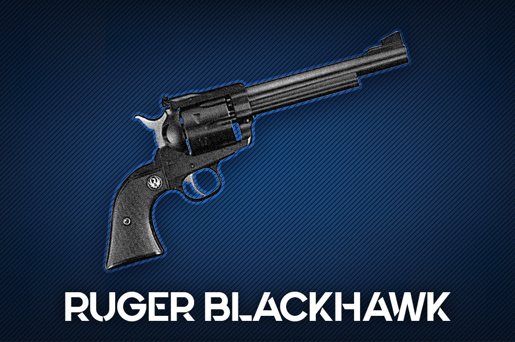 a photo of the Ruger Blackhawk revolver