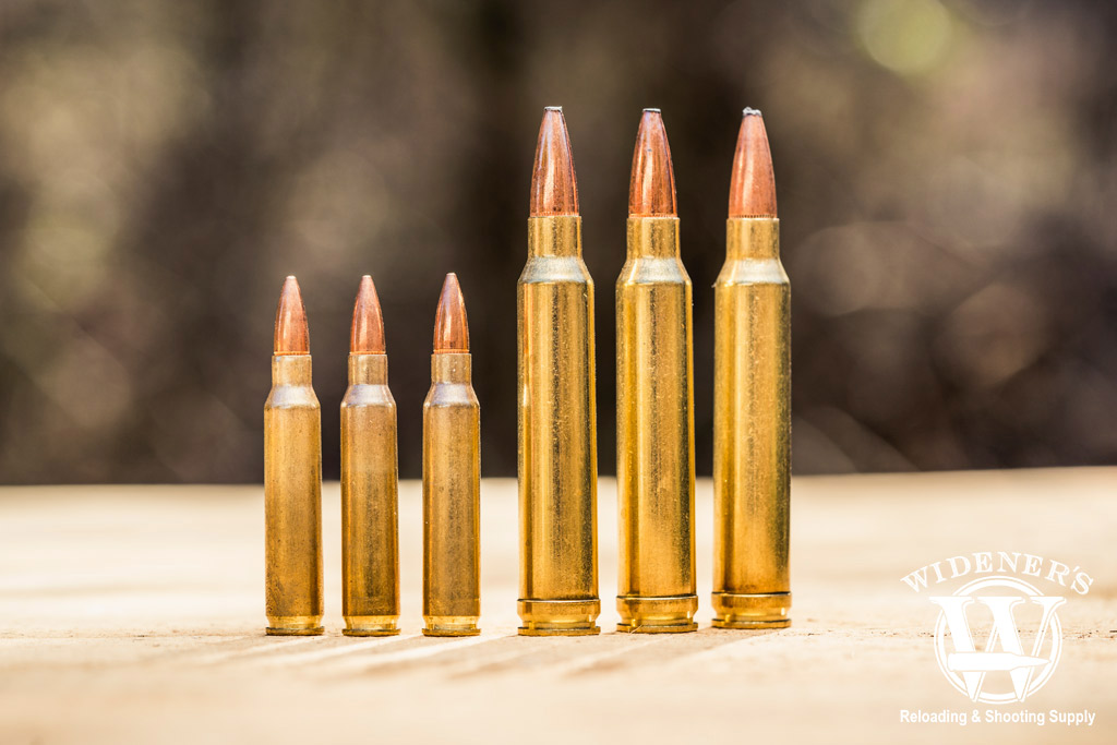 photo of 223 Rem cartridge compared to the 300 Win Mag