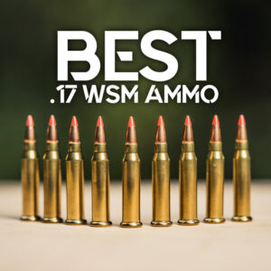 best 17 wsm ammo