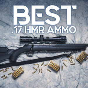 best 17 HMR ammo