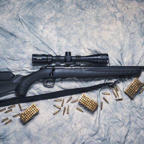 photo of a ruger 17 hmr rifle with ammo