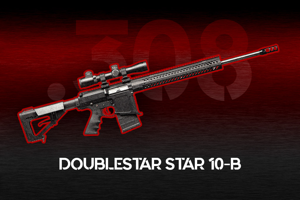the DoubleStar Star 10-B a photo of the DoubleStar Star 10-B best 308 rifle
