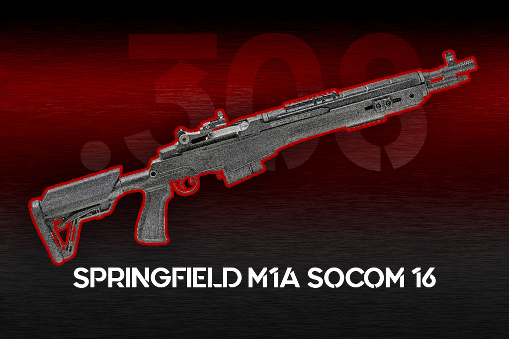 Springfield M1A a photo of the Springfield M1A