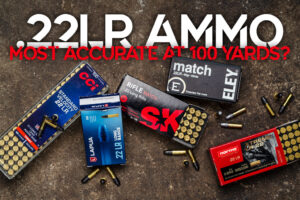 most accurate 22lr ammo at 100 yards