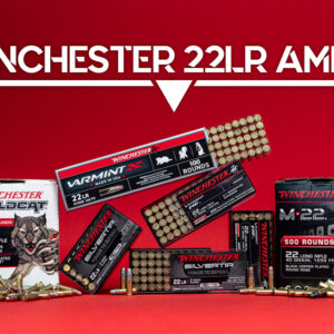 Winchester 22LR Ammo
