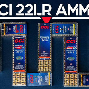 CCI 22LR