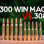 300 Win Mag VS 308