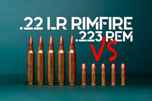 22LR VS 223