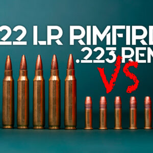 22LR VS 223