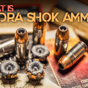 hydra shok ammo