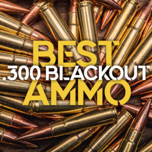 best 300 blackout ammo