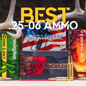 Best 25-06 Ammo