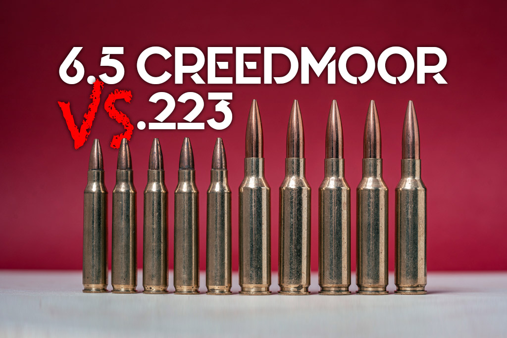 6.5 Creedmoor vs .308 Winchester Cartridge Ballistics Performance  Comparison