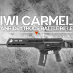 IWI Carmel
