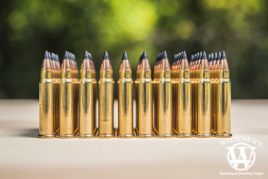 a photo of the 17 hmr rimfire cartridge