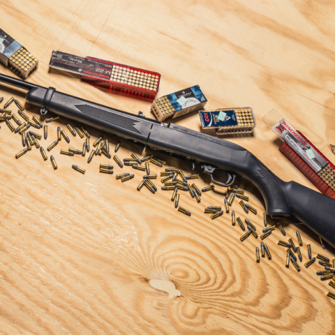photo of a ruger 10 22 rifle with 22 LR ammo on a sheet of plywood