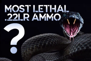 Most Lethal 22LR Ammo