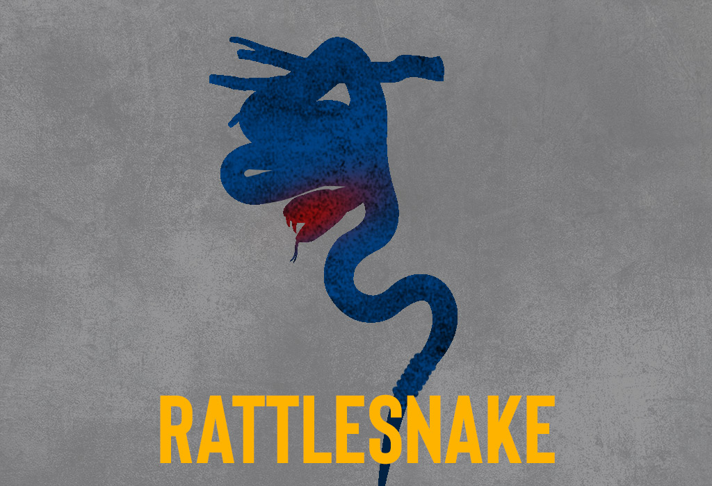 a striking rattlesnake a photo of a striking rattlesnake