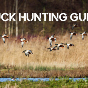 duck hunting