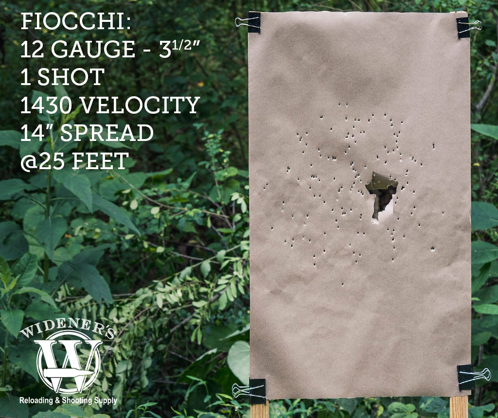 fiocchi 12 gauge 1 shot shotgun ammo photo of 12 gauge shotgun target shot by 1 shot ammo