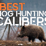 Best Caliber For Hog Hunting