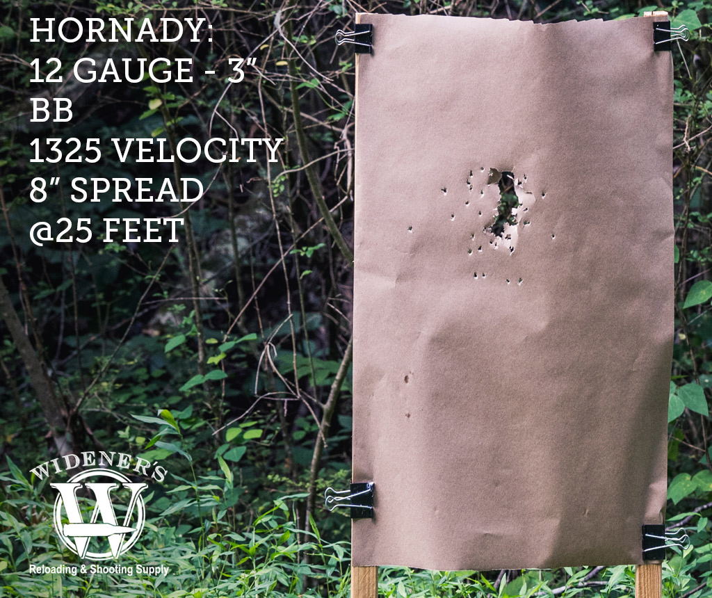 hornady 12 gauge BB shot shotgun ammo photo of 12 gauge shotgun target shot with BB load