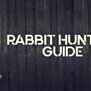 rabbit hunting