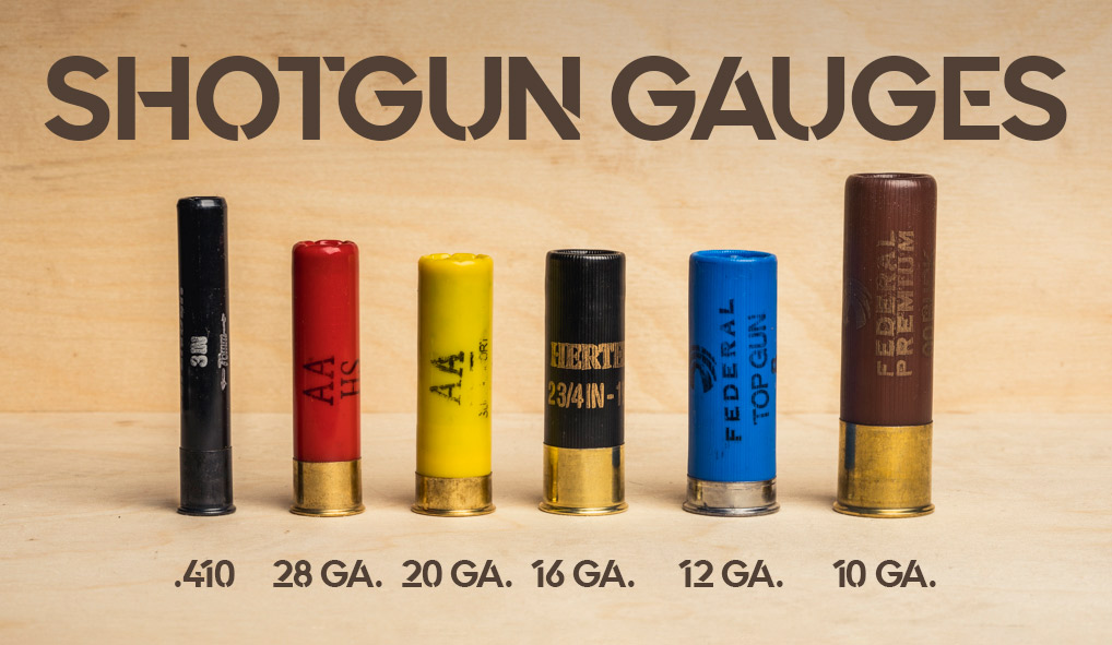 Shotgun Gauges Explained Wideners Shooting, Hunting & Gun Blog